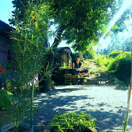 Cozy House Hostel Ella Bagian luar foto