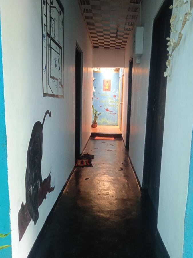 Cozy House Hostel Ella Bagian luar foto