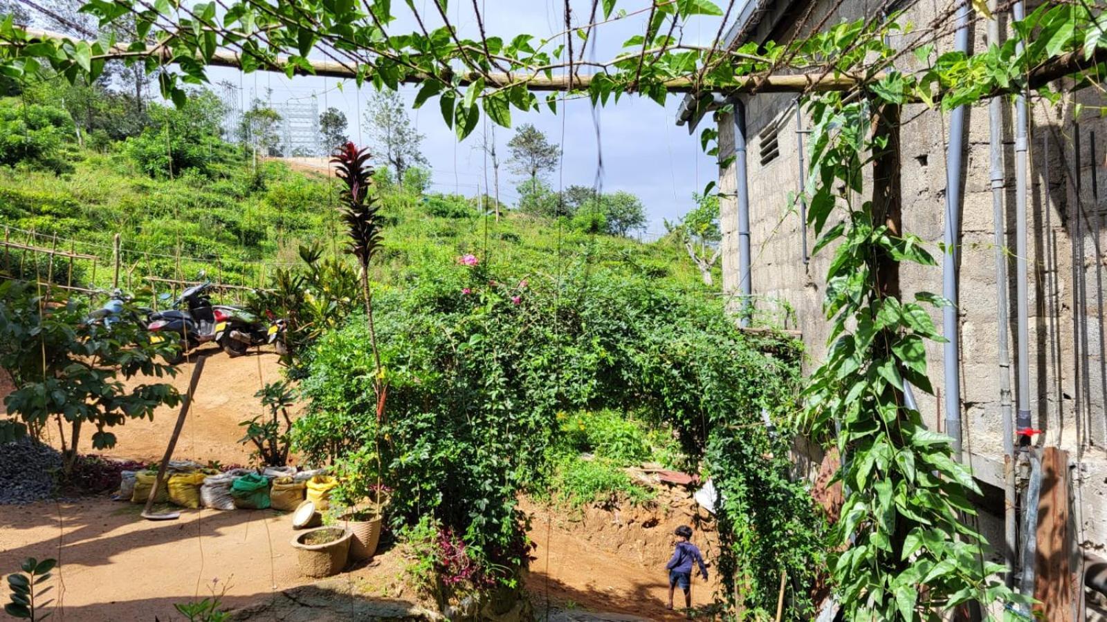 Cozy House Hostel Ella Bagian luar foto